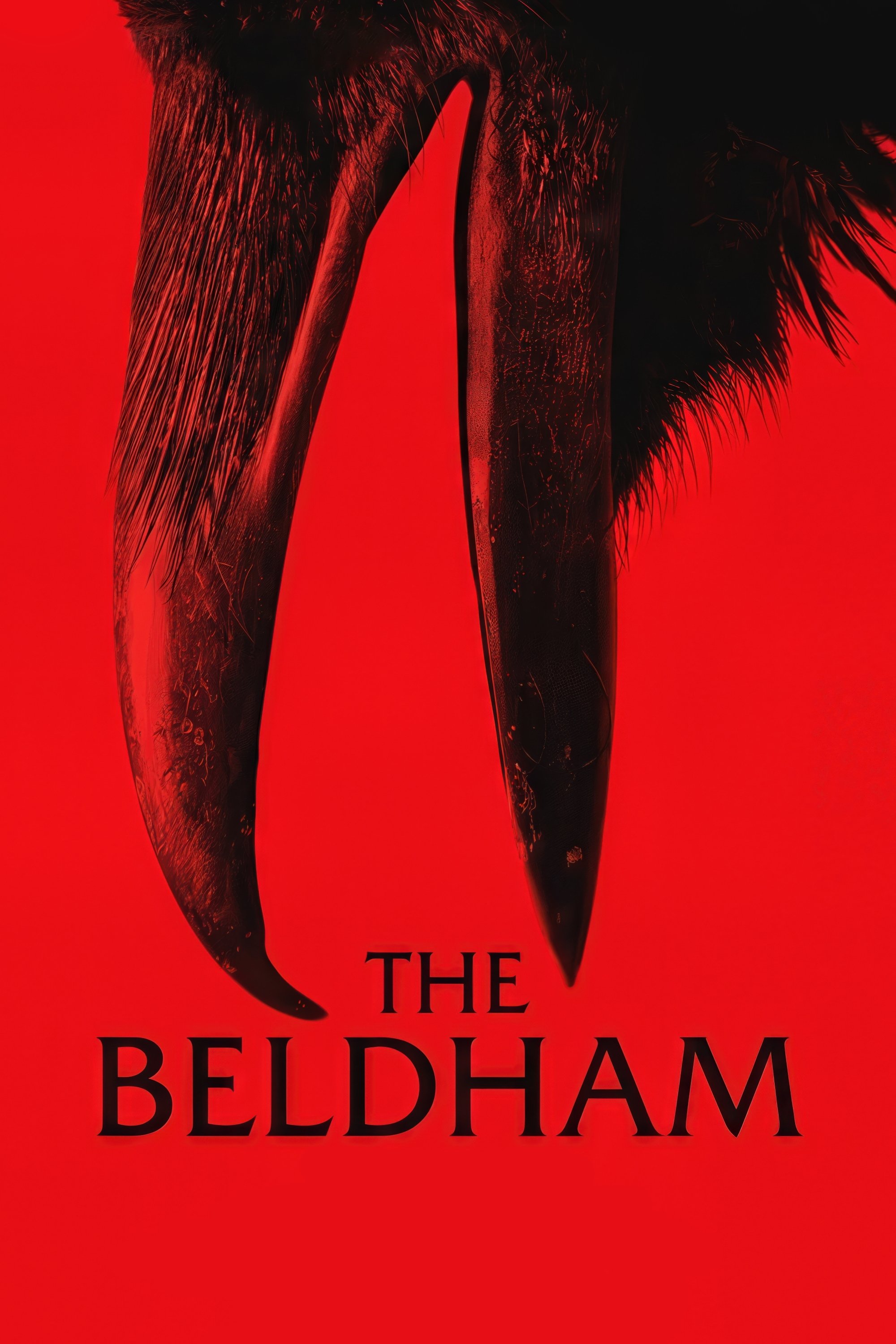 The Beldham Hindi Dubbed Movie Poster (2025)